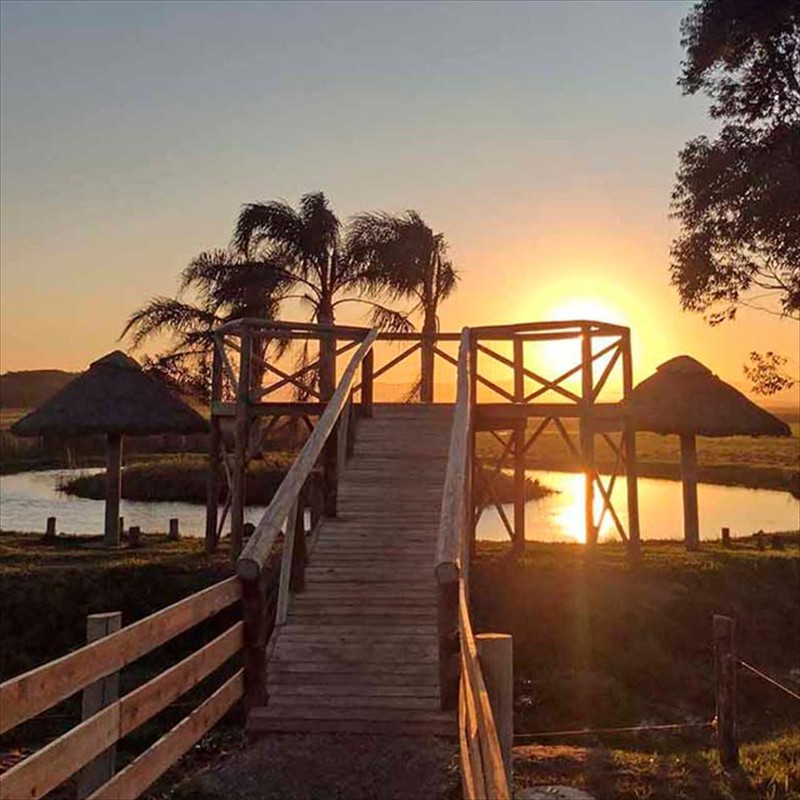 Mirante do lago.